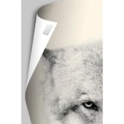 Trends International Disney Pixar Turning Red - 4-Town Tween Beat Unframed Wall Poster Prints 7 Trends International Disney Pixar Turning Red - 4-Town Tween Beat Unframed Wall Poster Prints -Children Household Series GUEST 56d31d4e 82a0 4384 abb9 92c9c4c39526 1