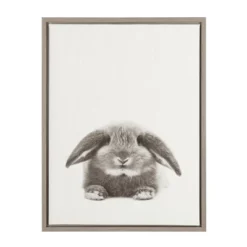 24" X 18" Rabbit Framed Canvas Art - Uniek -Children Household Series GUEST bb38d7de 7144 440b aff3 bd2a5477e6cc